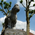 cloetensbrecht | het Brabants trekpaard | 0